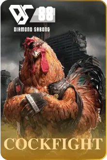 DS88